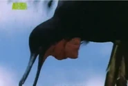 Animal Battlegrounds (2006)