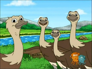 Go, Diego, Go! (2005-2011)