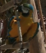 Kon-Tiki (2012)