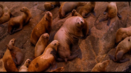 Sacred Planet (2004)