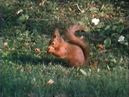 The Emerald Isle (1990)