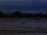 The Snows of Kilimanjaro (1952)