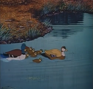 The Seventh Match (1982)