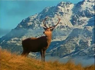 The Living Planet (1984)