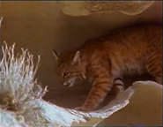 Cliff Hangers (1993)