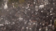 Human Planet (2011)