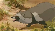Pom Poko (1994)