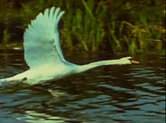 The Living Planet (1984)