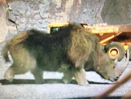 Rhinoceros (2007)
