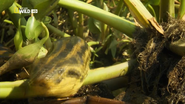 Destination: Wild: Colombia (2015)