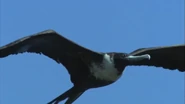 Life in the Air (2016)