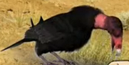 MAD (2010-2013)