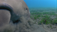 Planet Earth (2006)