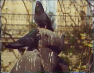 Falcons Over Paris (1991)