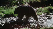 Sasquatch (1975)