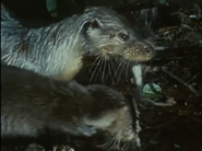 The First Eden (1987)