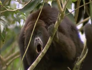 The Most Extreme (2002-2007)