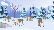 Wild Kratts (2011-)