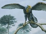 Archaeopteryx