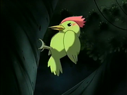 Hoshi No Kaabii (2001-2003)