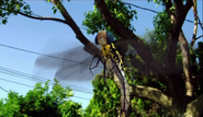 Prehistoric Monsters Revealed (2008)