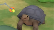 Leo the Wildlife Ranger (2015)
