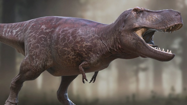 The Ultimate Guide To Tyrannosaurs 