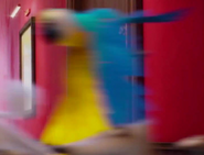 The Secret Life of Pets (2016)