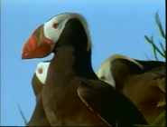 The Living Edens (1997-2003)
