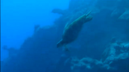 Underwater Trip (2007)