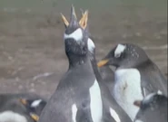 Jim Henson's The Animal Show (1994-1998)