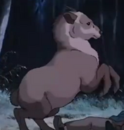 Pom Poko (1994)