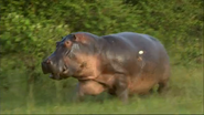 24/7 Wild (2012)