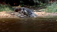 Beyond Mombasa (1956)