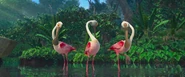 Roseate Spoonbill | NatureRules1 Wiki | Fandom
