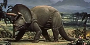 The Animal World (1956)