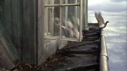 102 Dalmatians (2000)
