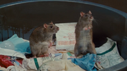 Dr. Dolittle (1998)