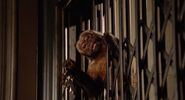 Night at the Museum (2006)