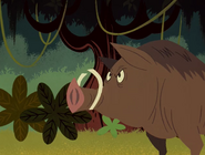 Samuai Jack (2001-2017)