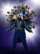 The Masked Singer (2019-present)