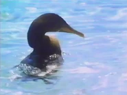 The Galapagos (1986)