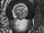 Flatwoods Monster