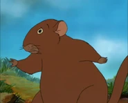 The Bamboo Bears (1996)