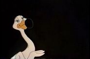 Animalympics (1980)