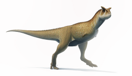 Carnotaurus 2017
