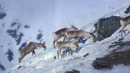 Incredible Animal Journeys (2023)