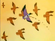 The Little Fox (1981)
