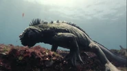 Big Pacific (2017)