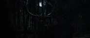 The Fox and the Child (2007)